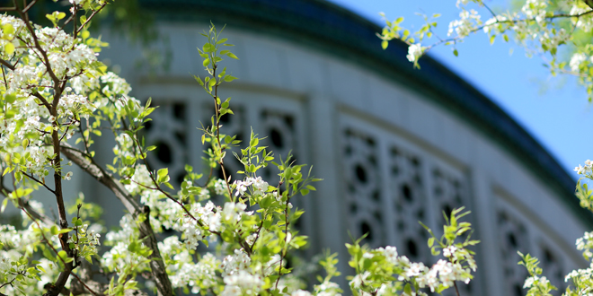 PG���ӡ�������(������Ϸ)�ٷ���վ