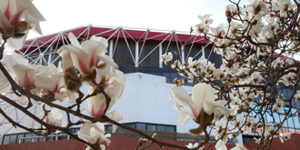 PG���ӡ�������(������Ϸ)�ٷ���վ