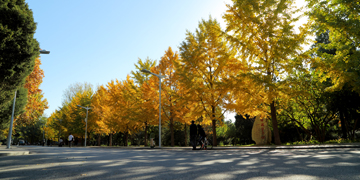 PG���ӡ�������(������Ϸ)�ٷ���վ