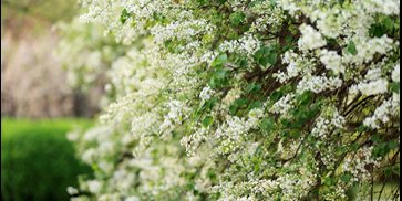 PG���ӡ�������(������Ϸ)�ٷ���վ