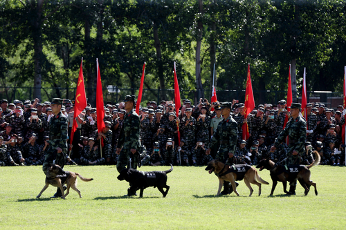 PG���ӡ�������(������Ϸ)�ٷ���վ