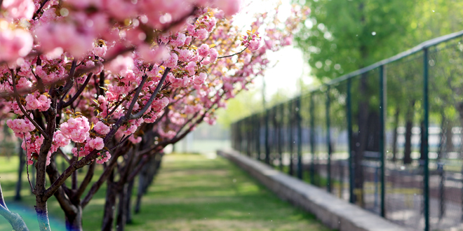 PG���ӡ�������(������Ϸ)�ٷ���վ