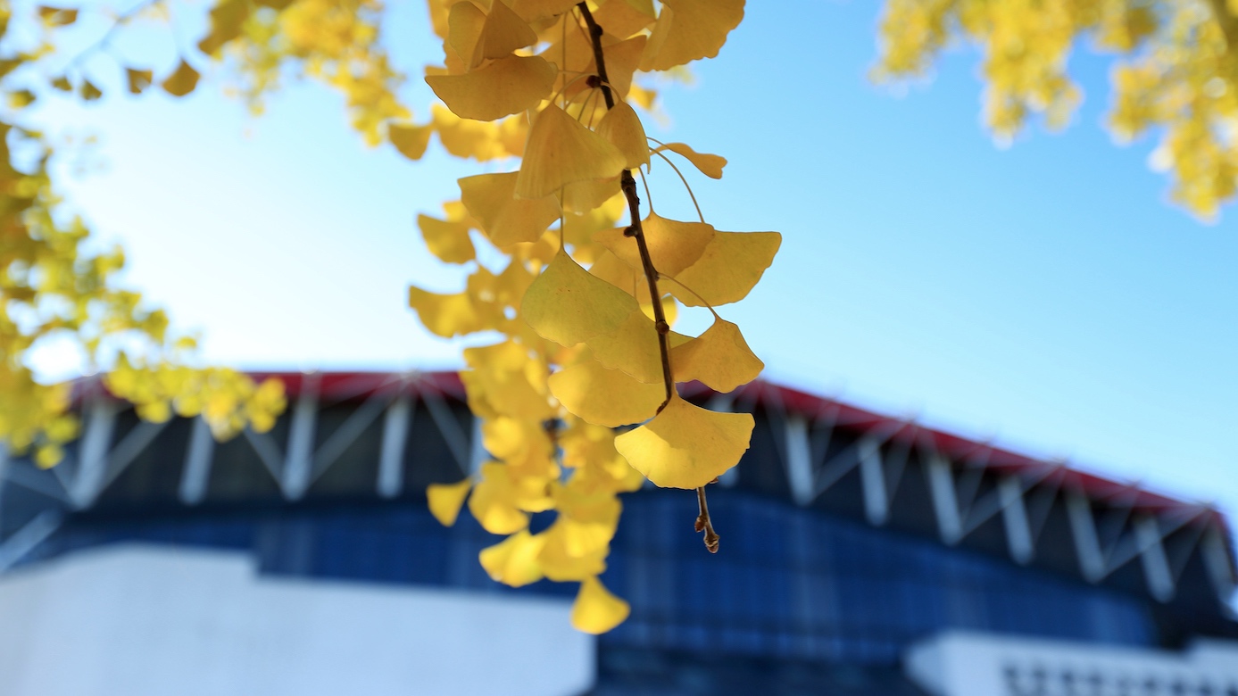 PG���ӡ�������(������Ϸ)�ٷ���վ