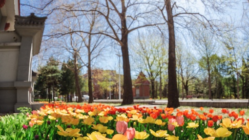 PG���ӡ�������(������Ϸ)�ٷ���վ