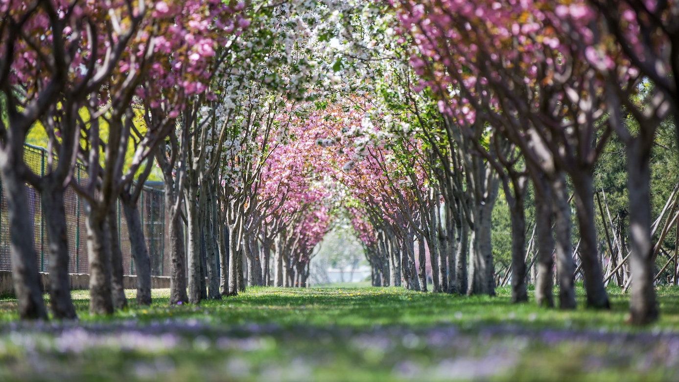 PG���ӡ�������(������Ϸ)�ٷ���վ