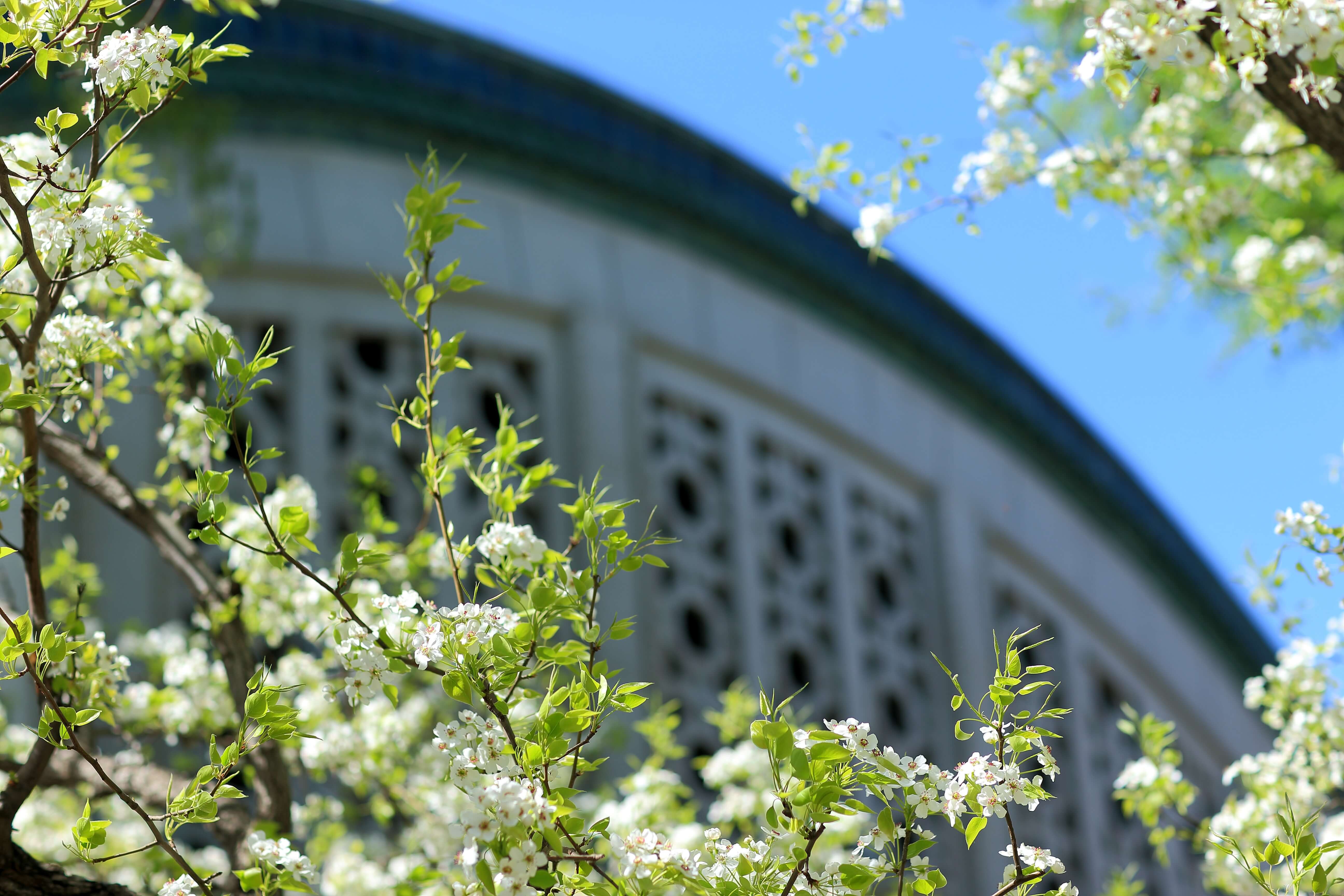 PG���ӡ�������(������Ϸ)�ٷ���վ