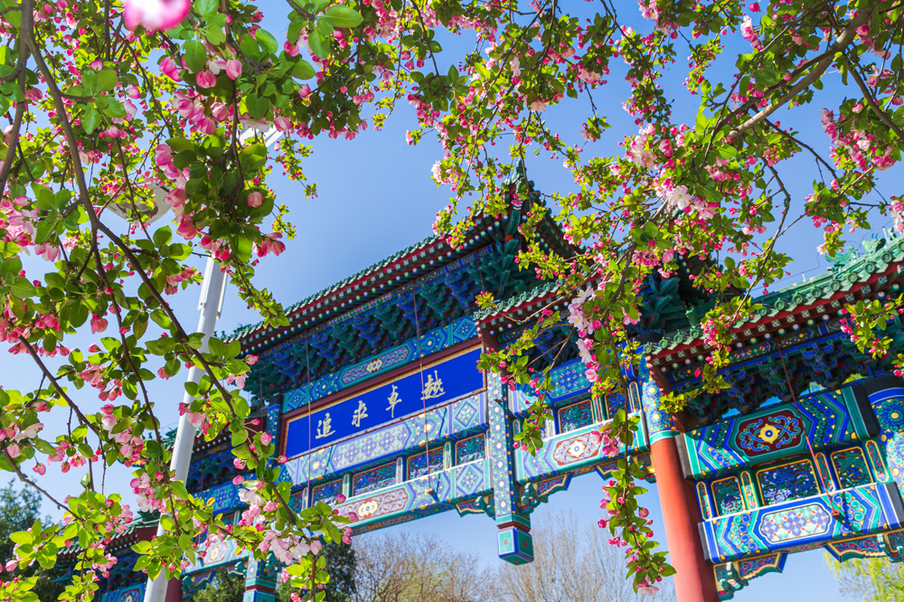 PG���ӡ�������(������Ϸ)�ٷ���վ