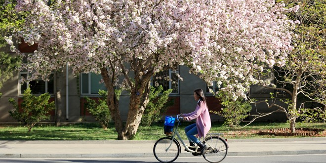 �ۻ� ��һ.jpg