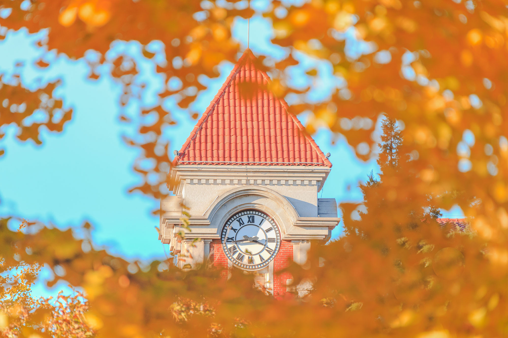 PG���ӡ�������(������Ϸ)�ٷ���վ